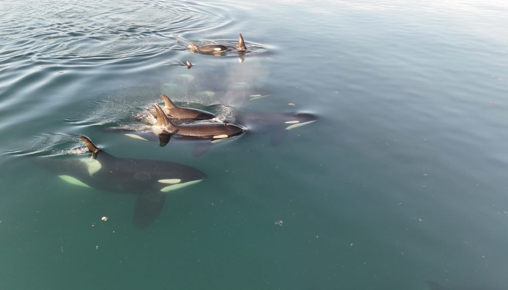 Retreat group in Alaska